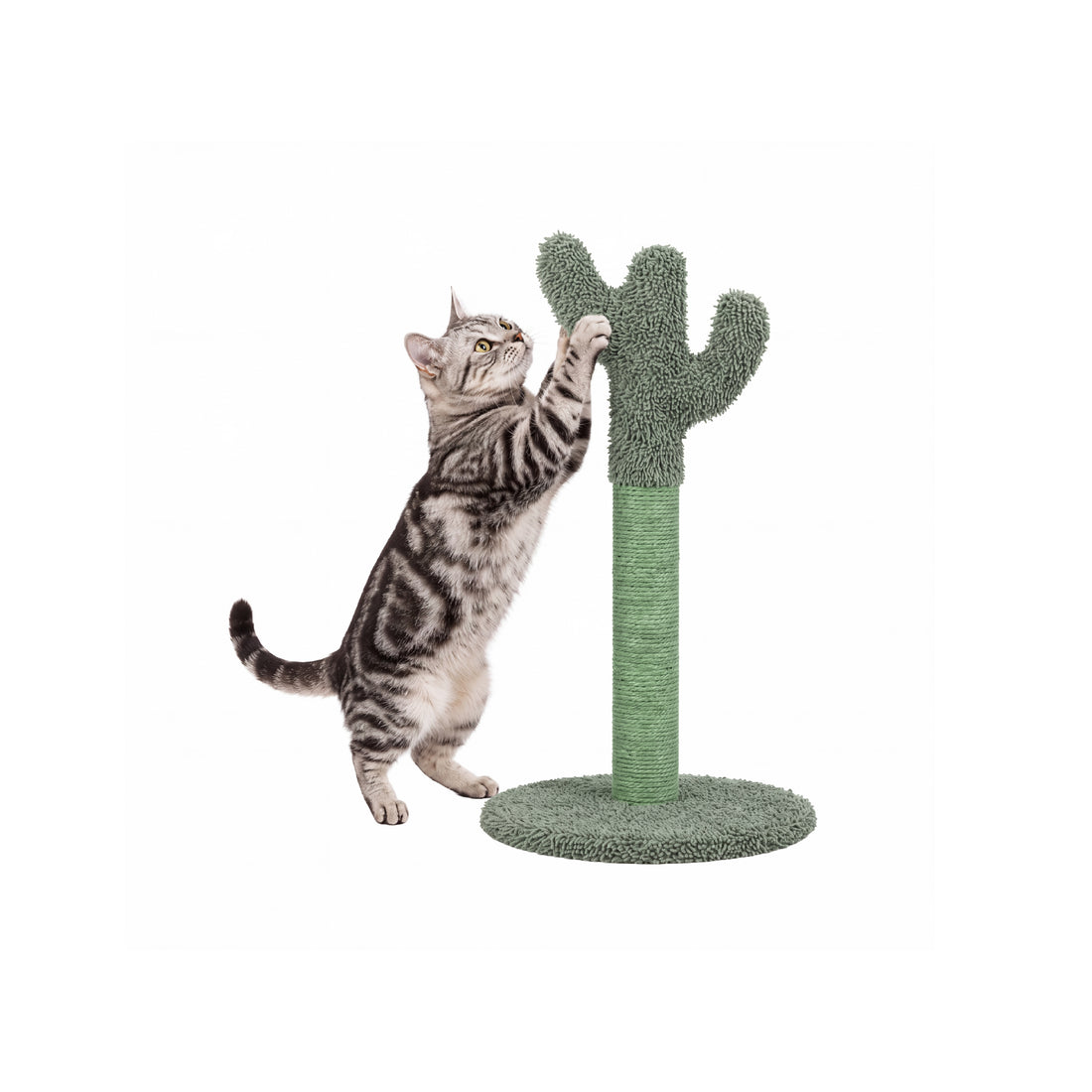 Cactus-Shaped Cat Scratching Post - Green