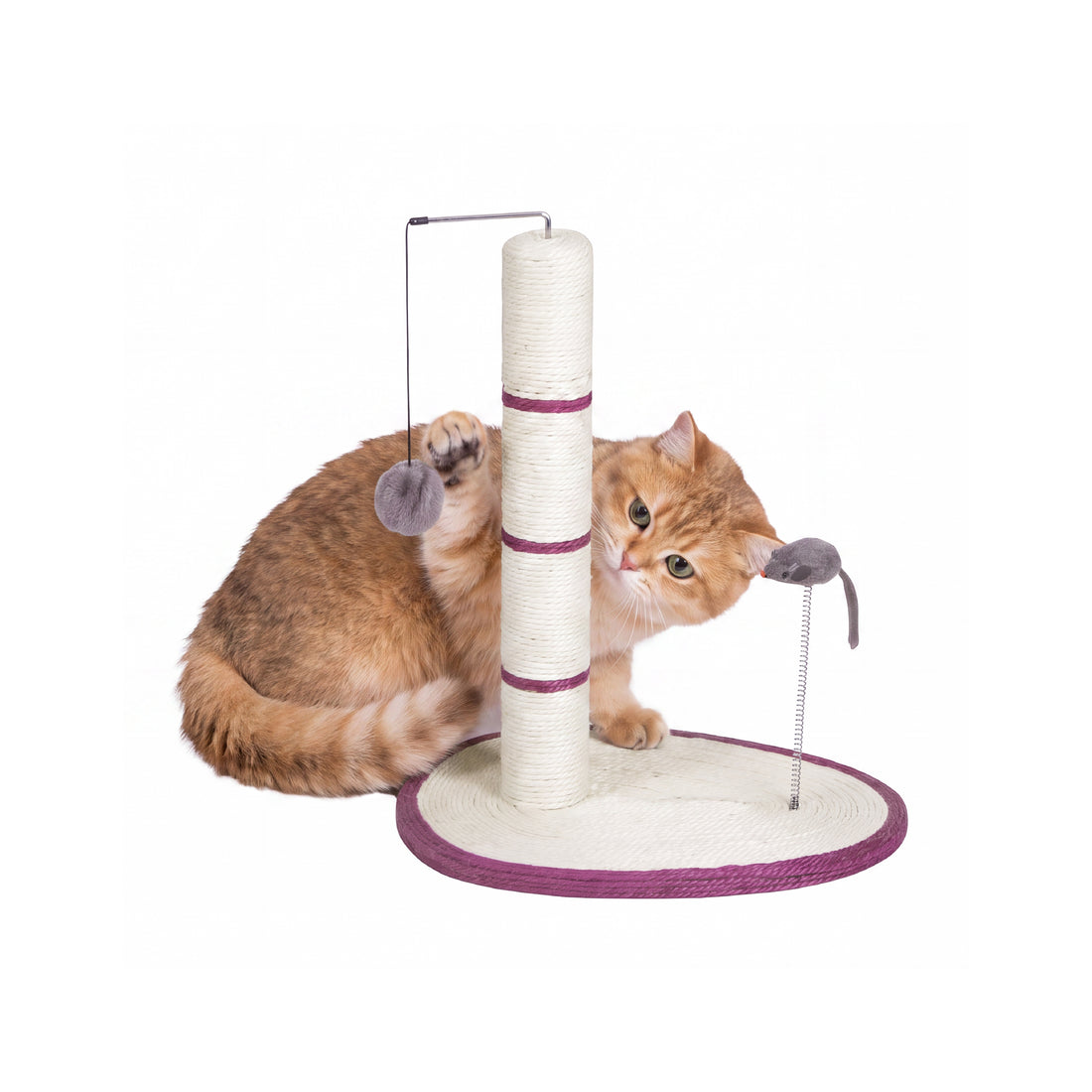 Cat Scratching Post with Interactive Toys - Purple