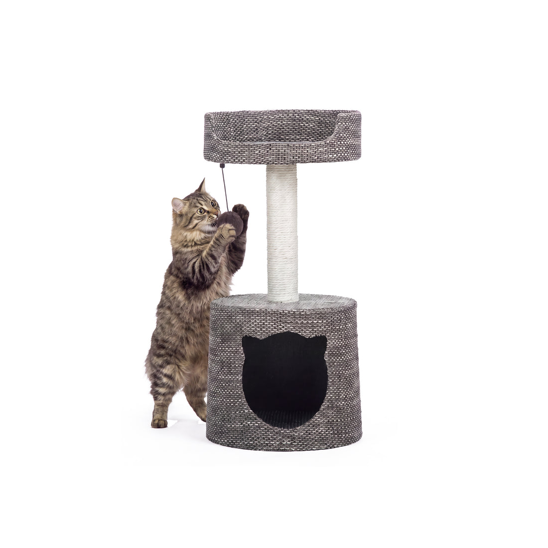 Cat Tree with Condo and Top Perch - Gray