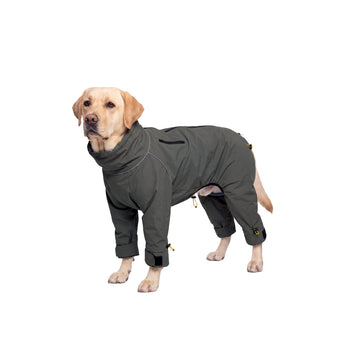 Four-Leg Reflective Dog Jumpsuit - Charcoal Gray