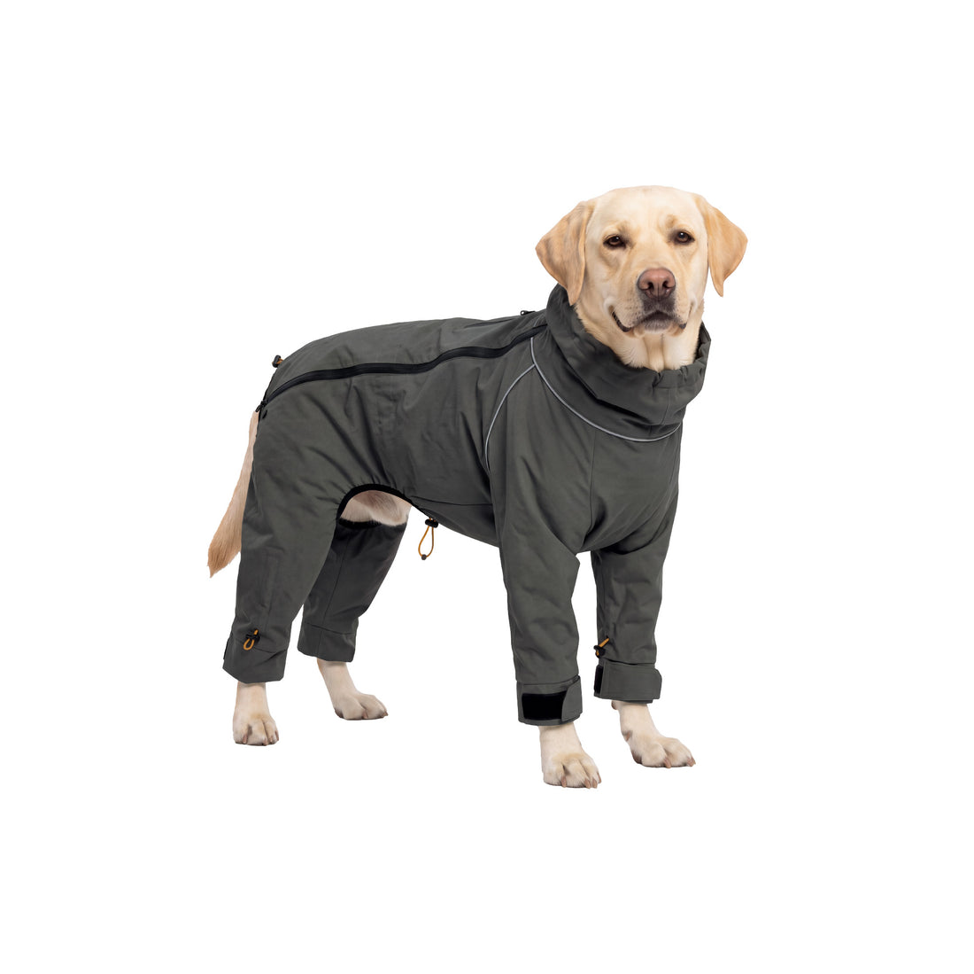 Four-Leg Reflective Dog Jumpsuit - Charcoal Gray