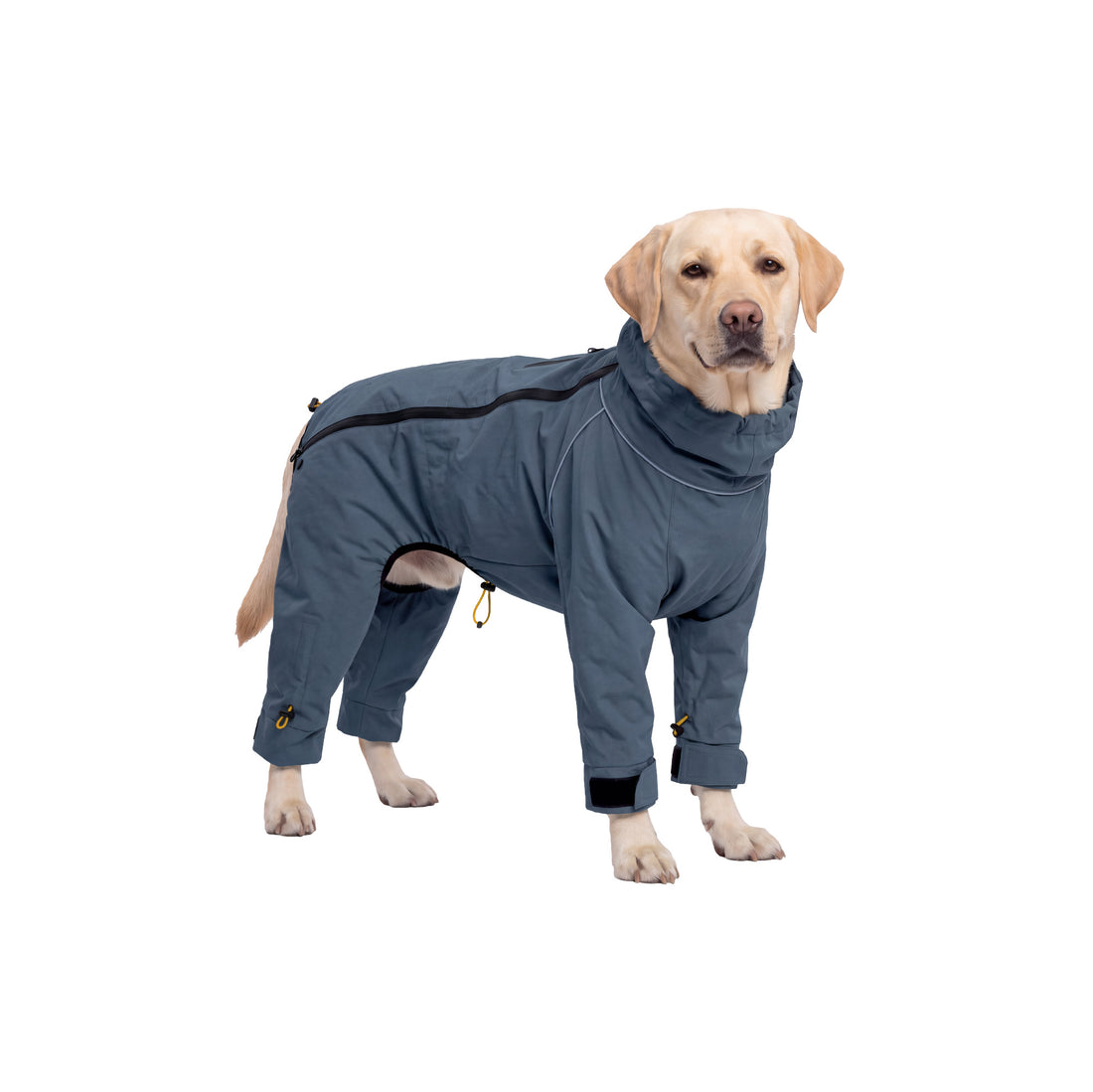 Four-Leg Reflective Dog Jumpsuit - Slate Blue