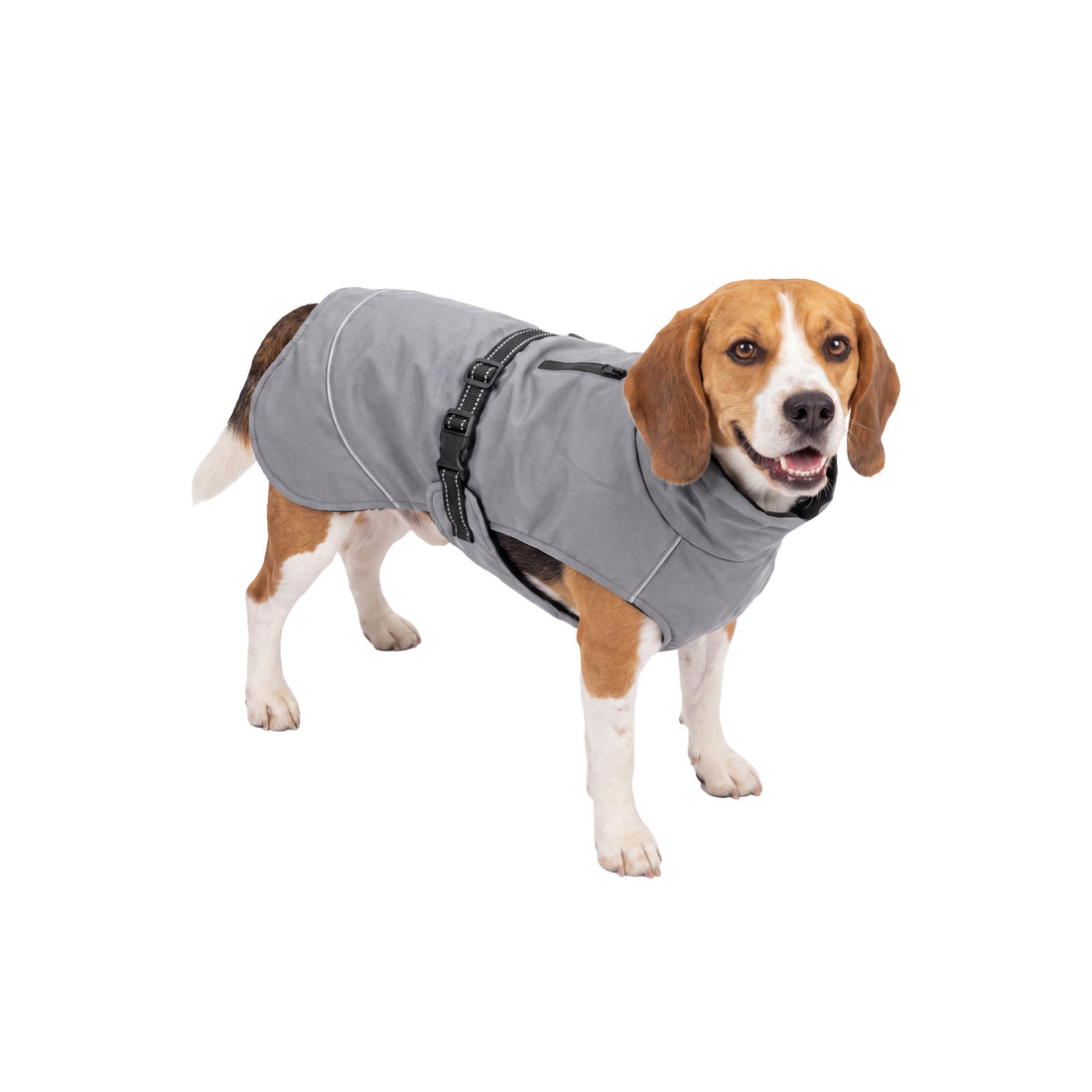 Reflective Adjustable Dog Coat - Gray